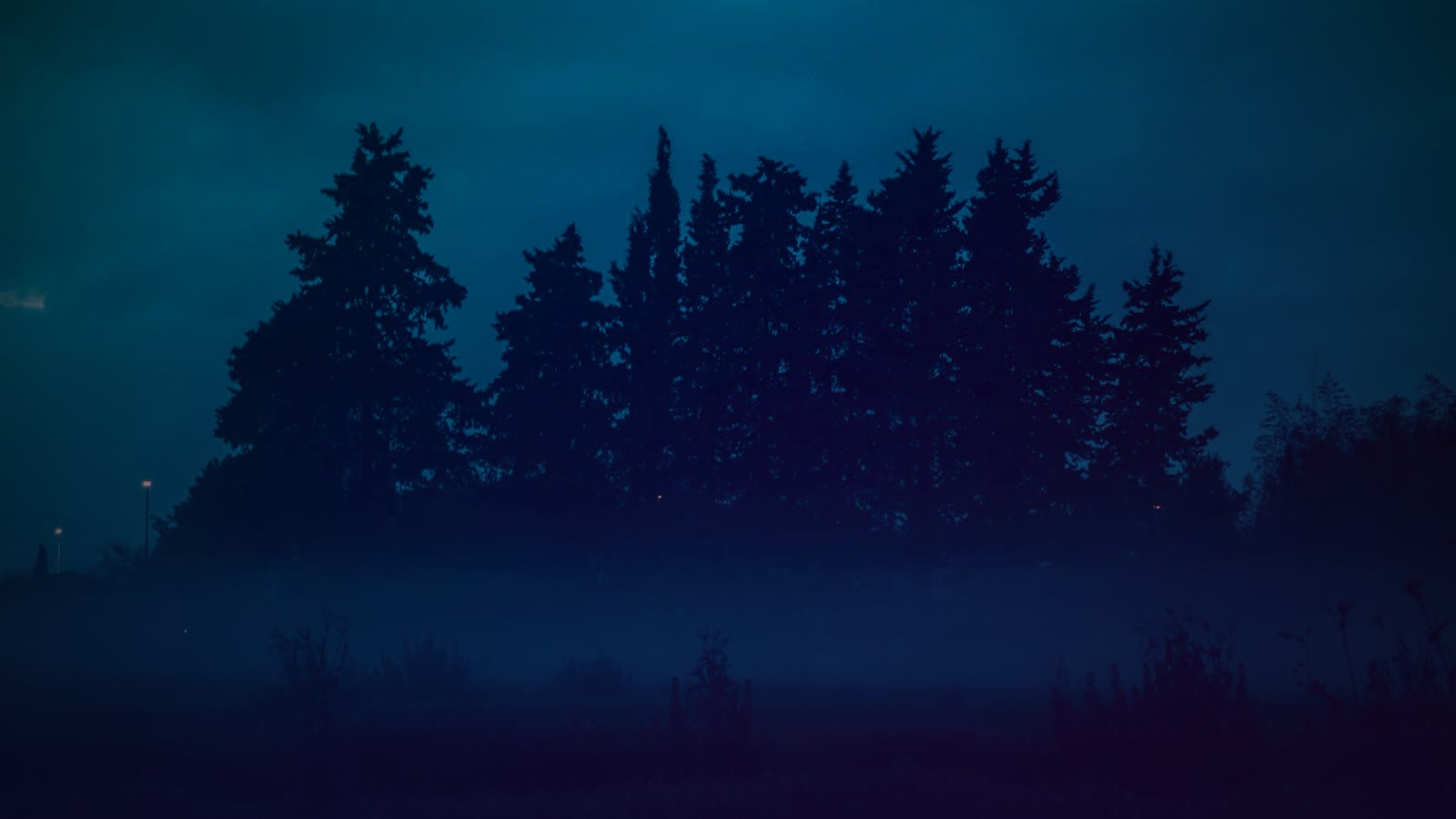 A mysterious forest silhouette with fog at twilight, creating a serene and atmospheric scene.