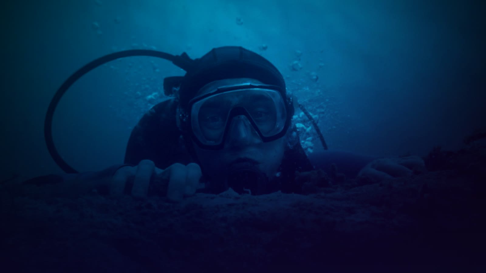 Whalefall: scuba diver vs. sperm whale guts, in theaters October 16