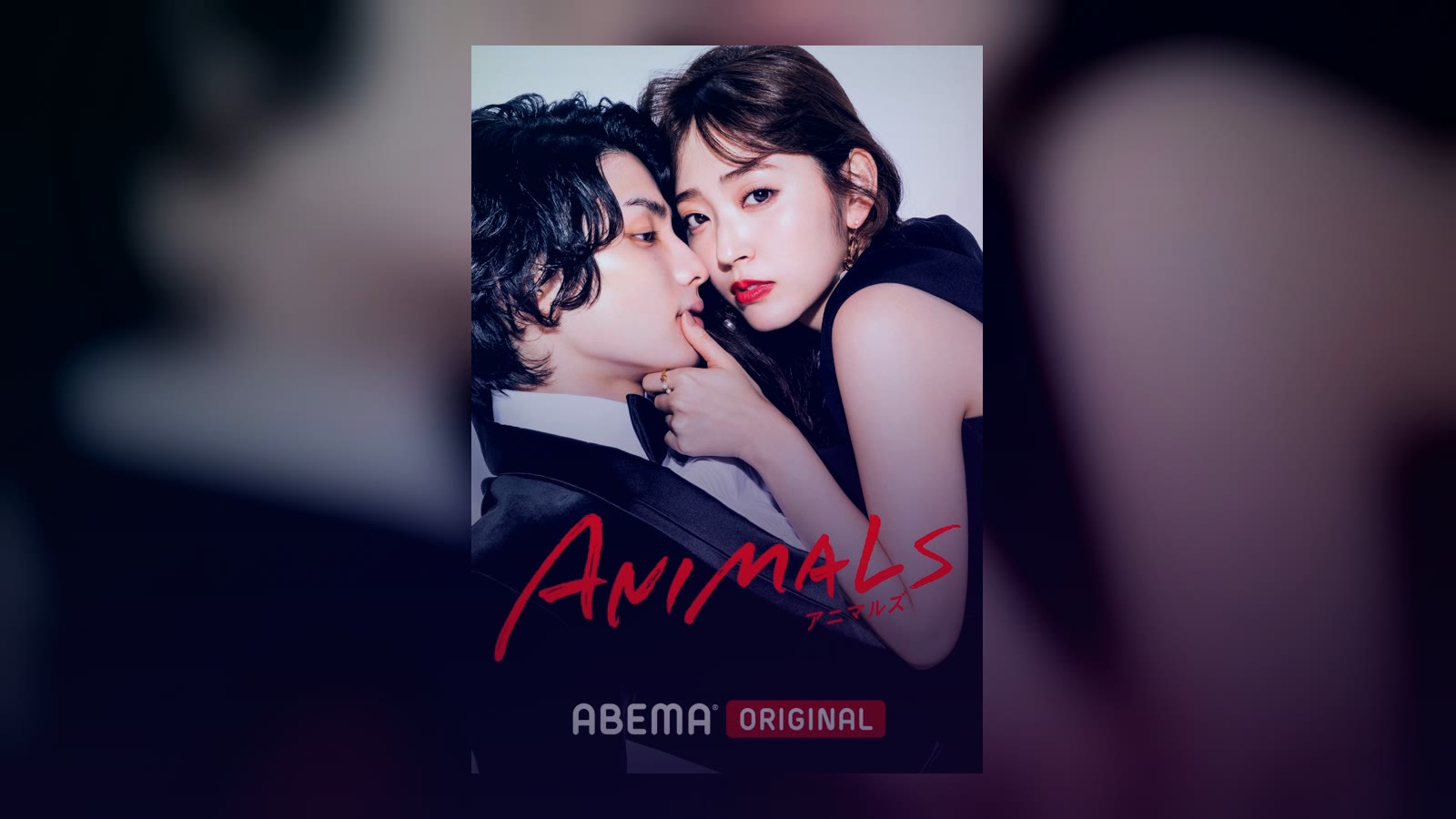 Animals poster