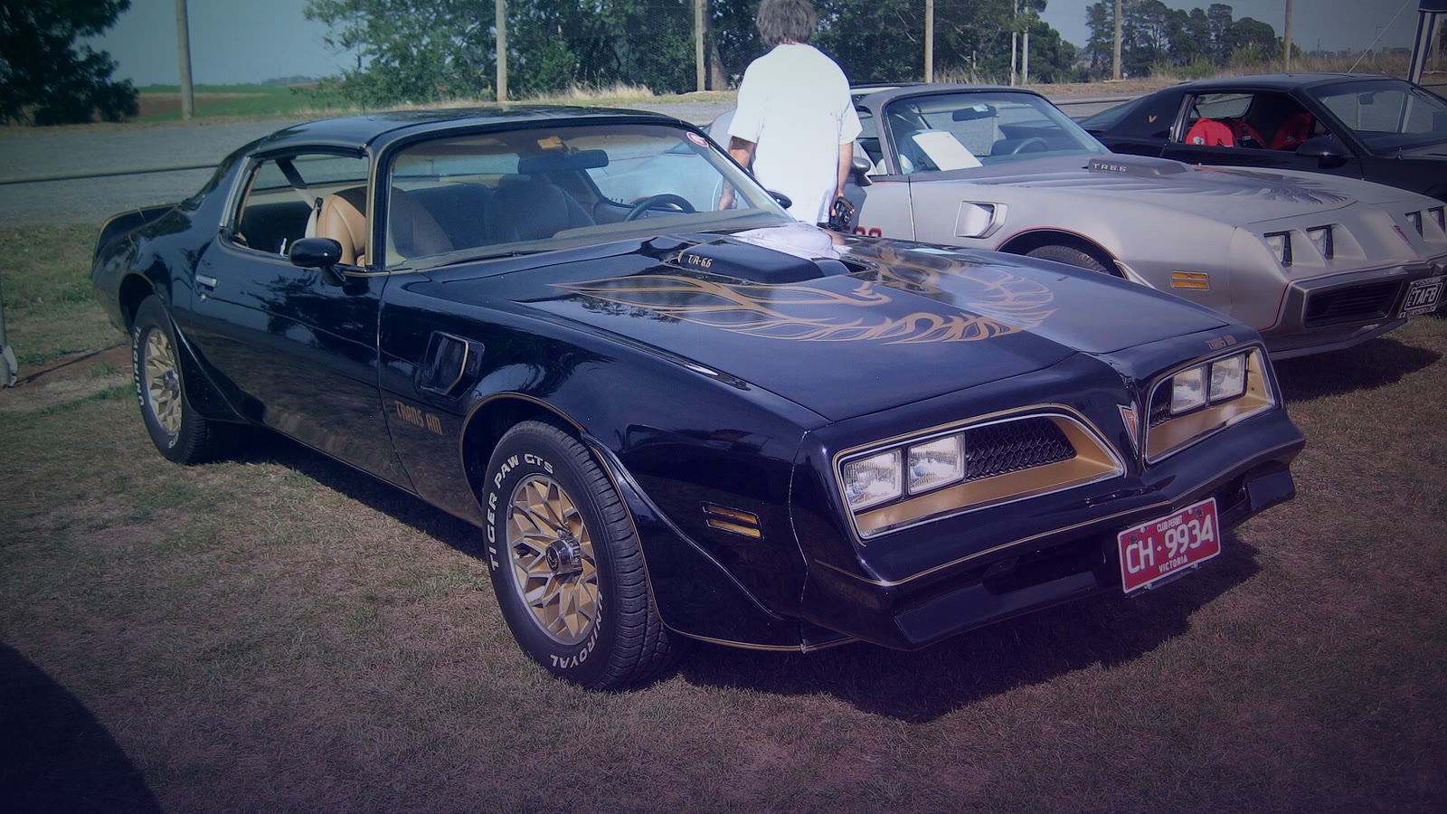 A black and gold 1977 Pontiac Trans Am Special Edition like the Bandit drove